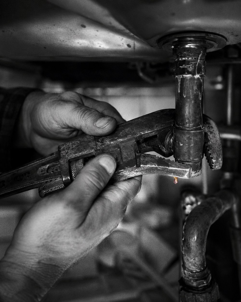 Plumbing tradesperson